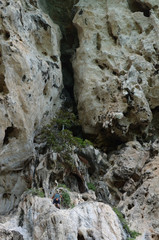 Man climbing the cliff in Railey, Thailand