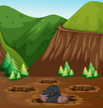 Mole Digging Hole in Nature