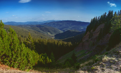 Obraz premium The canyon is a 