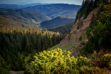 Obraz premium The canyon is a 