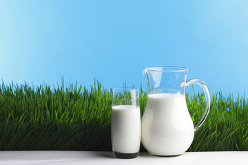 Milk jug and glass on grass field