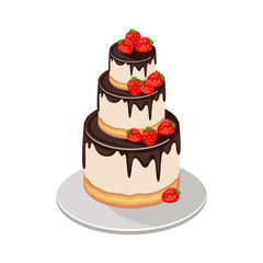 Cake with fresh berries and chocolate isolated on white background. Vector illustration
