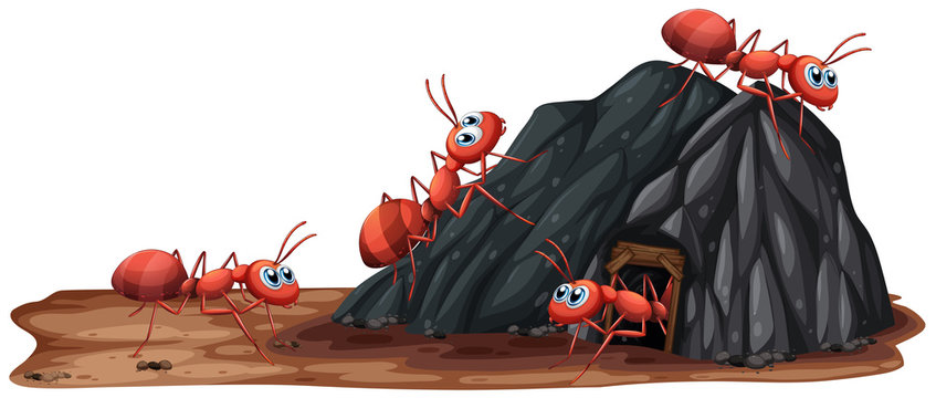 A Ants Family Living in Hole