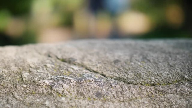 Rock Face closeup in the summer