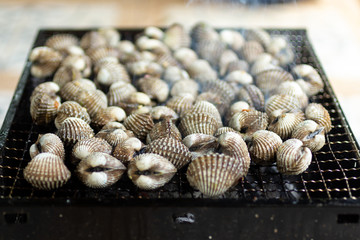 Cockle put on grill , seafood. Image use for cook in the kitchen.