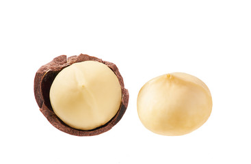 Macadamia nut on white background