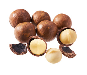 Macadamia nut on white background