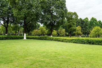 Green lawn in urban public park