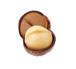 Macadamia nut on white background