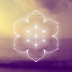 Vector template of banner; Spiritual sacred geometry; "Flower of life" and lotus on psychedelic natural photographic background; Yoga, meditation and relax.