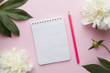 Notepad for text white flowers peony on pastel pink background.