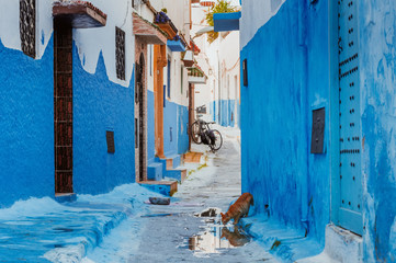 Small streets in blue and white in the kasbah of the old city Rabat in Marocco
