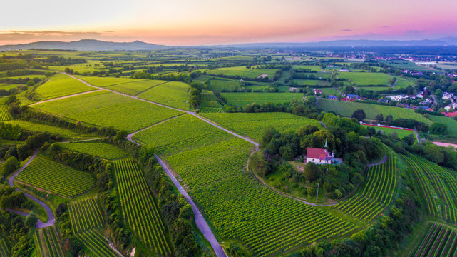 Abendstimmung und Sonnenuntergang &uuml;ber Weinberg im Schwarzwald mit Kapelle