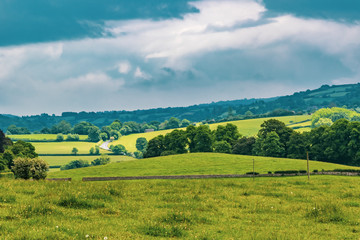 Fototapeta na wymiar The countryside in Dartmoor