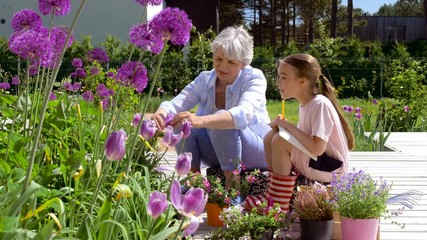 gardening, family and people concept - happy grandmother and granddaughter study flowers at summer garden
