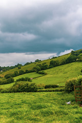 Fototapeta na wymiar The countryside in Dartmoor