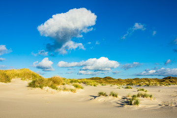 Landschaft mit Dünen auf der Insel Amrum