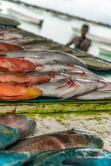 Fish market on Mauritius island