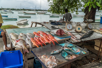 Fish market on Mauritius island