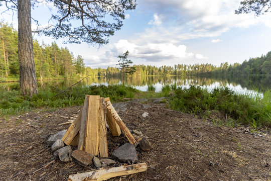 Natur Reservat Glaskogen Schweden