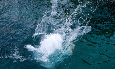 Fototapeta na wymiar water splash image, summer theme,