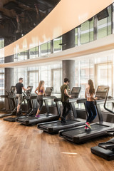 Group of four people, men and women, running on treadmills in modern and luminous fitness gym - obrazy, fototapety, plakaty