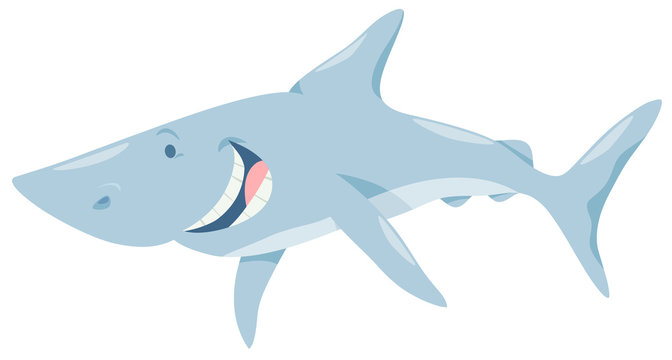 cartoon shark fish animal character