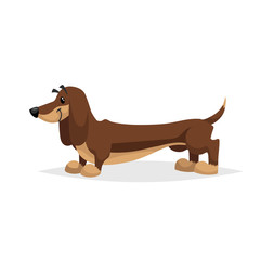 Cartoon dachshund dog standing. Simple gradient purebred vector illustration. Comic dog character. Pet animal isolated on white background.