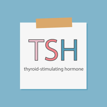 TSH thyroid-stimulating hormone written in a notebook paper- vector illustration
