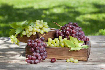 White and red grape