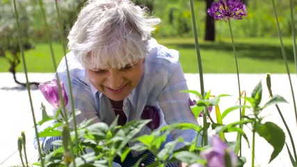 gardening and people concept - happy senior woman planting flowers at summer garden