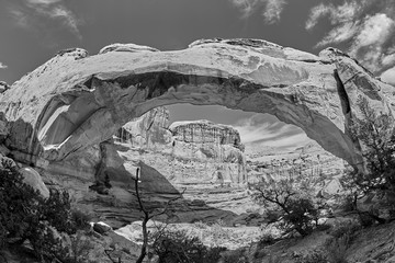 Black and white picture of the Hickman Bridge in Capitol Reef National Park, Utah, USA.