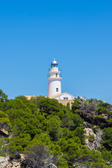 Fototapeta na wymiar Mallorca, Green forest surrounding ancient lighthouse of cape capdepera