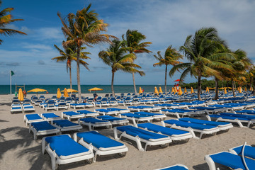 Empty Lounge Chairs on a Windy Beach 