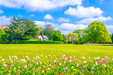 People's garden in the Phoenix park in Dublin, Ireland