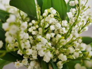 muguet