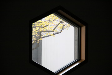view from hexagonal window