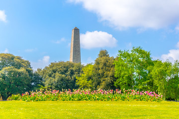 People's garden in the Phoenix park in Dublin, Ireland