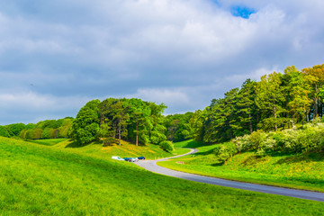 Phoenix park in Dublin, Ireland