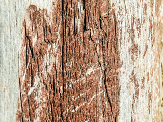 multi-colored paint on uneven surface