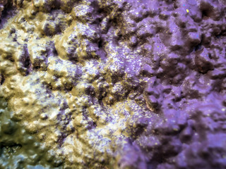multi-colored paint on uneven surface