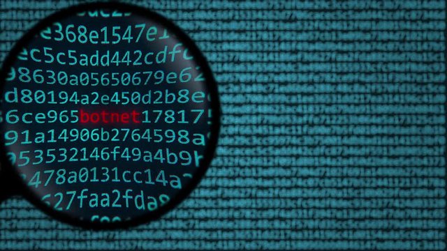 Magnifying glass discovers word botnet on computer screen. Internet security related search conceptual animation