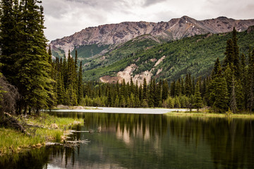 Horseshoe Lake, Denali National Park