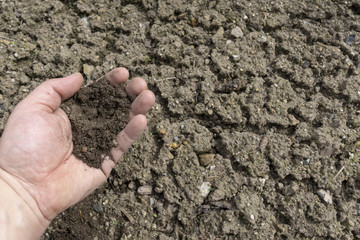 Soil, cultivated dirt, earth, ground, brown land background. Organic gardening, agriculture. Nature closeup. Environmental texture, pattern. Mud on field.