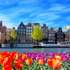 Fotobehang One of canals in Amsterdam with colored tulip flowers © Lsantilli