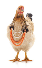 Chicken in a necklace.