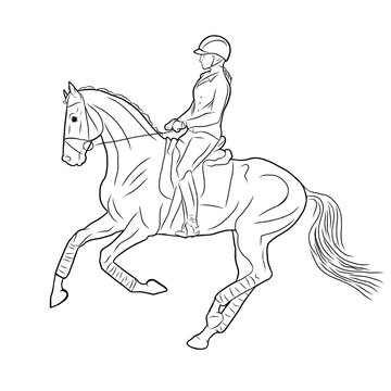 A sketch of a rider on a horse.