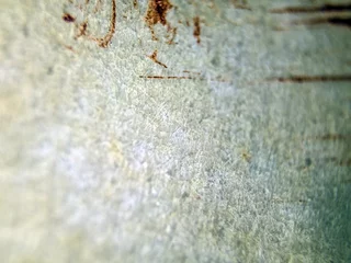 multi-colored paint on uneven surface © Edmond
