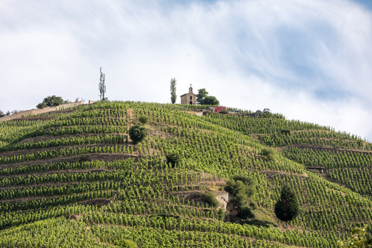 View of the M. Chapoutier Crozes-Hermitage vineyards in Tain l'Hermitage, Rhone valley, France