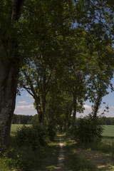 Obraz premium Mammendorf